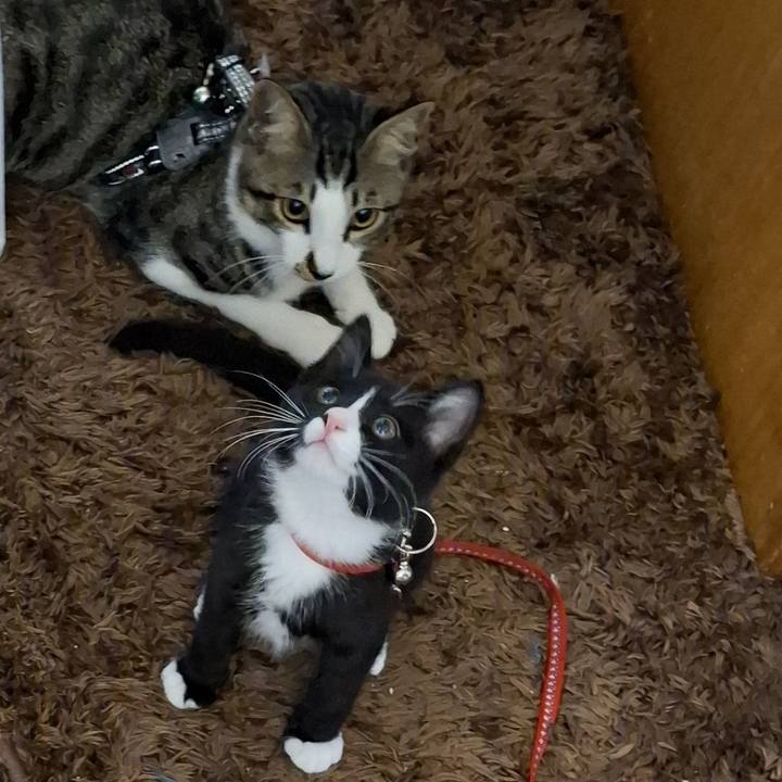 33a355c5 76ae 423c 90e2 876284fd8c83 1750041409902