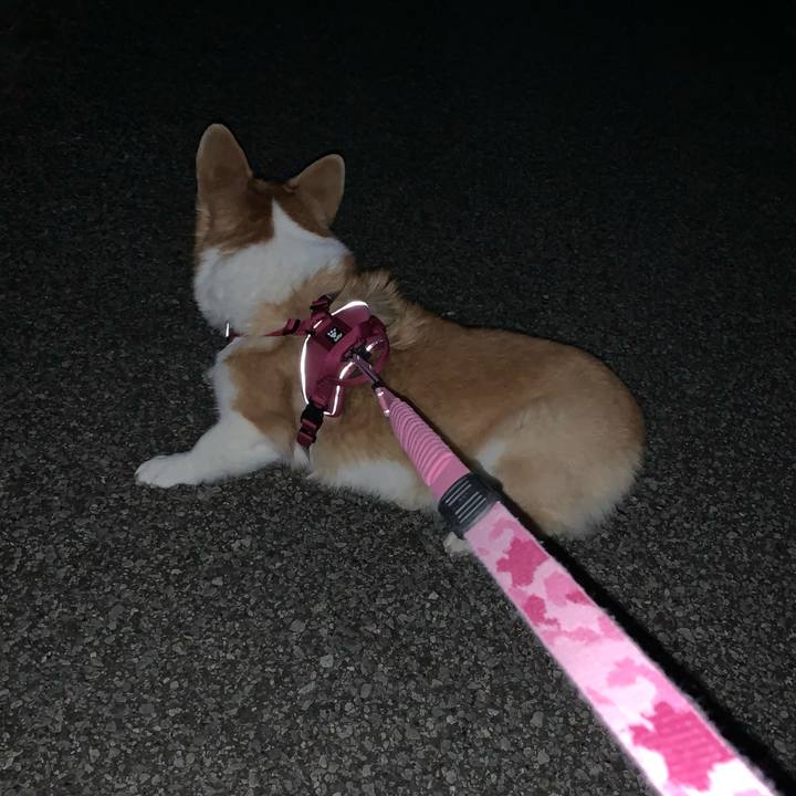 33a38588 1eb5 4086 bbe4 709779a409cf 1697532822354