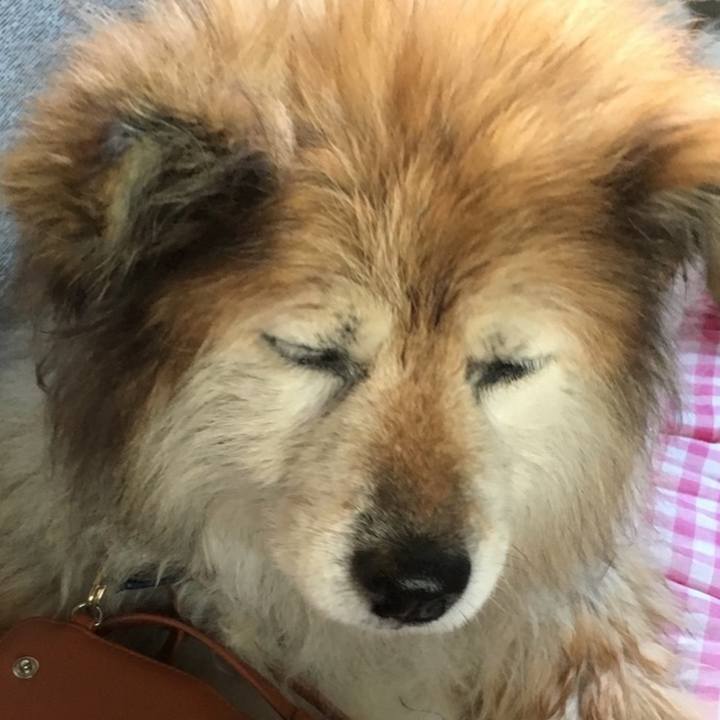 33a394c7 fb81 445c 8625 5346a25d9627 1603127956534