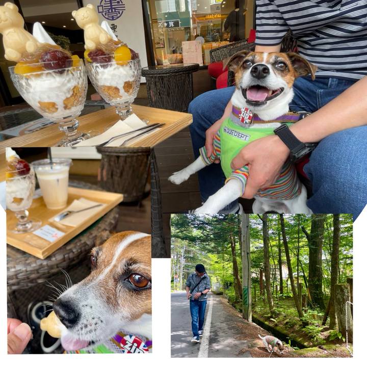 33a3997c 73f6 4c0c 8cbf 36de5bedef7d 1747578268303