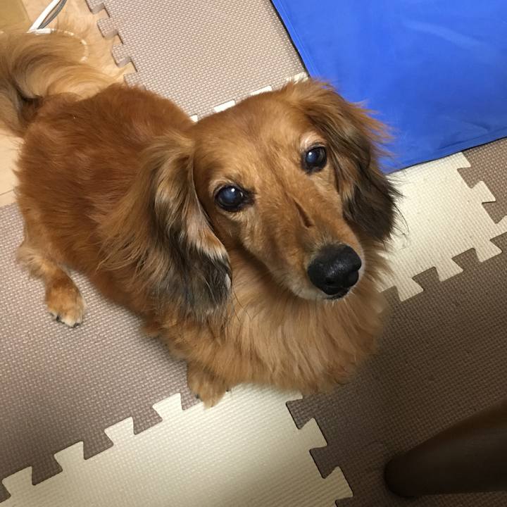 33a3a1a4 088d 4c2d bcf0 e0a83f3233c3 1563978193286