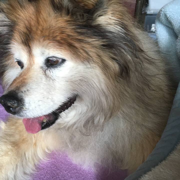 33a3cd22 232c 4f46 85b4 6db89bd9e57e 1629758813000