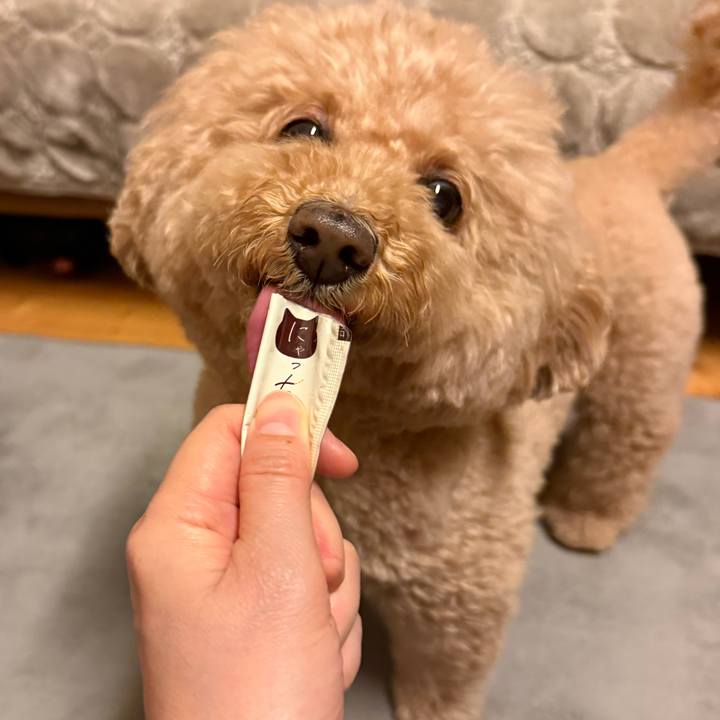 33a40e49 5a70 4a6b 8245 562211cc2b2b 1772711296635