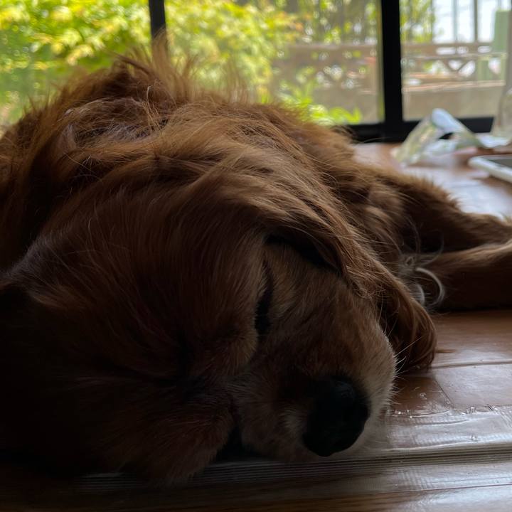 33a423bd bf77 4cfc b7d0 d9f8131573c6 1745814664671