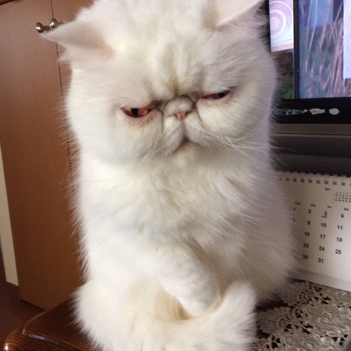 33a4a14e c845 413a 9b63 6169f276f7b9 1537972155809