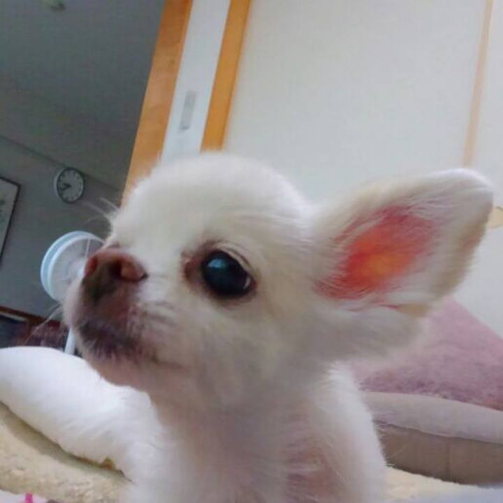 33a4a8a5 6b4d 440f 9239 79f716d74bdc 1563061272147