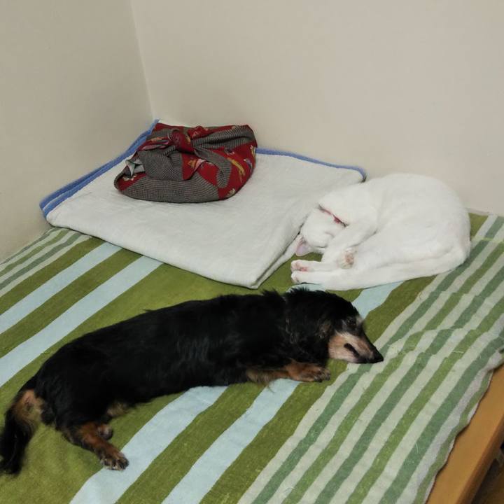 33a4b177 67d5 4a58 b741 510c245672e1 1627040594406