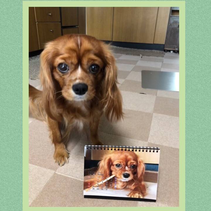 33a4cc87 b998 4ce1 8bbf c2efb466556a 1569881254709