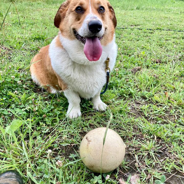 33a4eaaf 1d70 4a6f 846a 279052843534 1655723098825