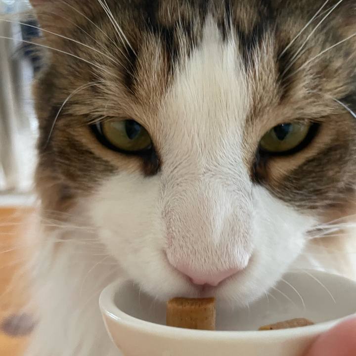 33a4ec74 b5a3 44da bfa0 cd0eddaba422 1656749026273