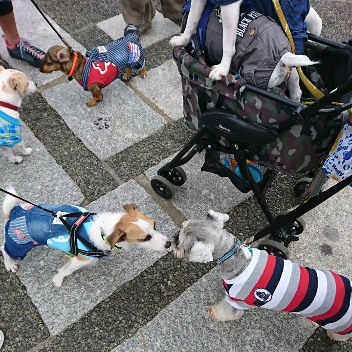 33a5489b 395a 41e8 86e9 693e93ea690f 1539508547771