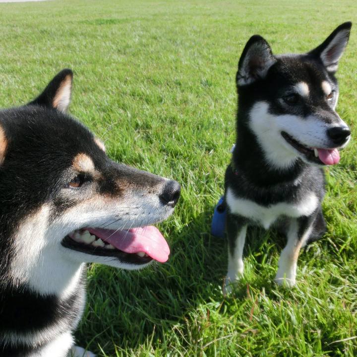 33a5981a 7e31 4365 aa46 e6944bd0abc6 1558595572726