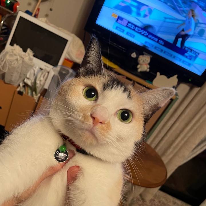 33a5a3b6 3d20 4b58 8cf8 4b44866d714a 1722183540838