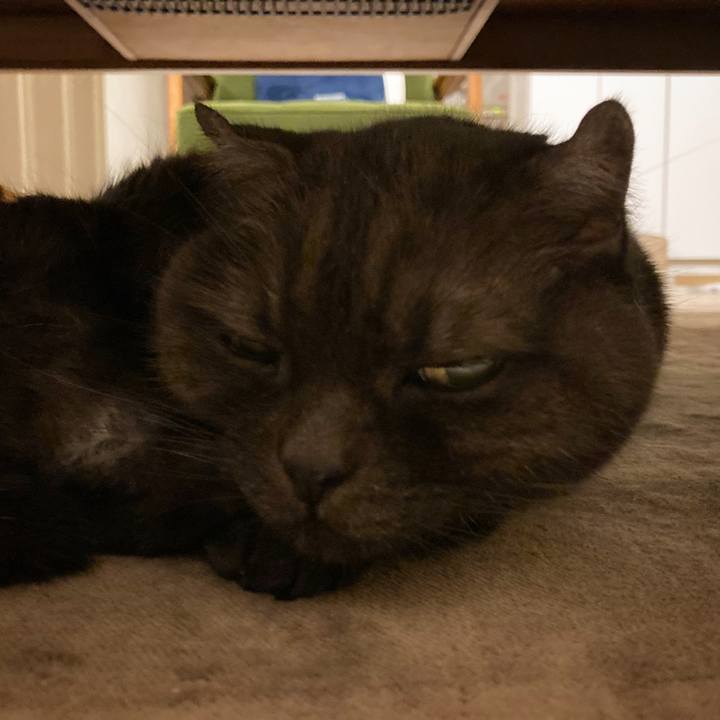 33a5cd30 51ae 4e8c 827f dadfb4624d03 1637663246791