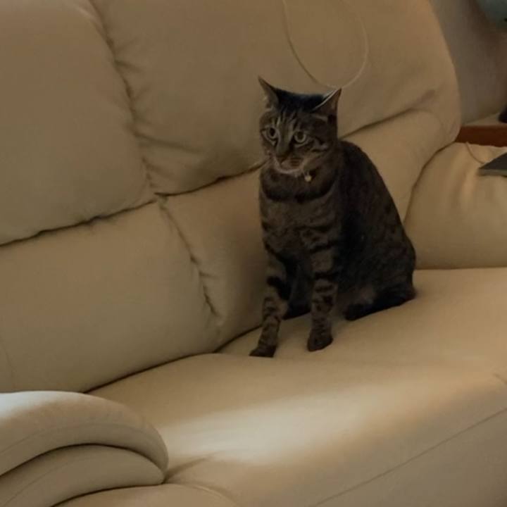 33a5ef25 29a3 4869 9c39 64623715e939 1620200667842