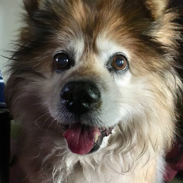 33a67769 a364 4c94 8b53 c5853b14a206 1554625309016