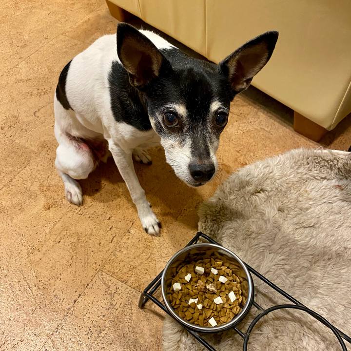 33a67fe6 3d32 4f38 b0e0 487035142c60 1614600861369