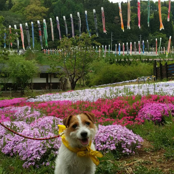 33a6c8ca c2fd 4b50 835b 6e71674d1778 1525417603788