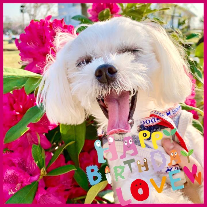 33a6d80c 8995 4ff4 a638 ea4963627fdd 1615780194615