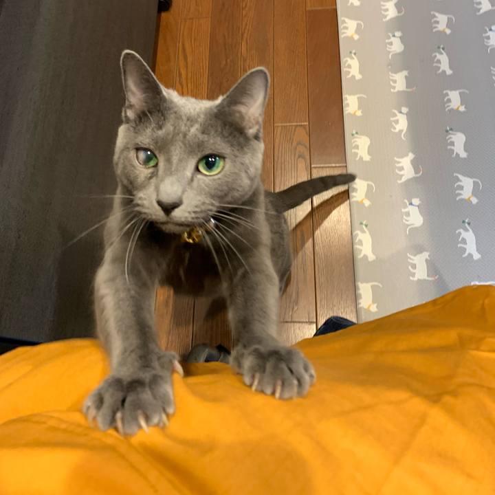 33a6d893 08ec 4c74 8b48 4cb8fd034374 1651571223175