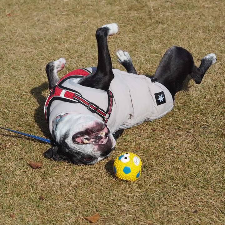 33a6d951 557a 477f b399 0ee970c1938e 1763957359497