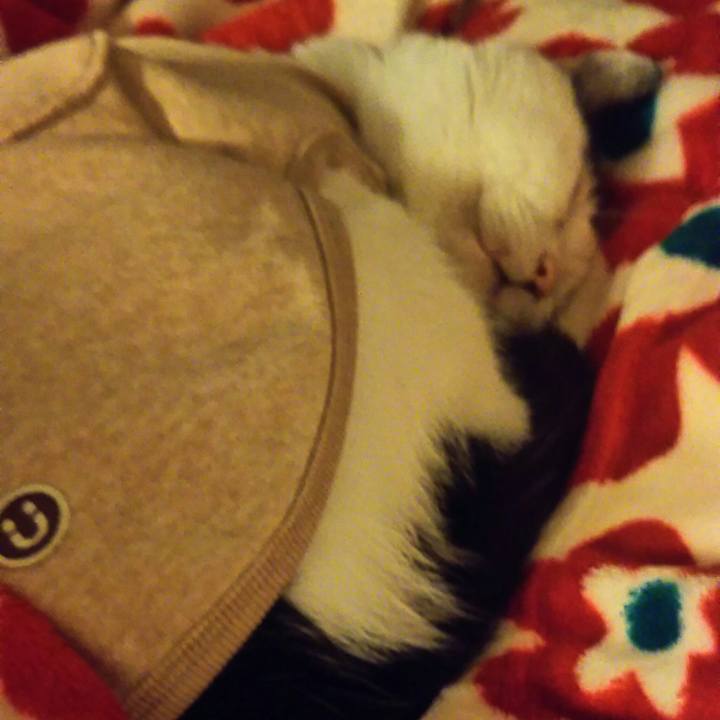 33a6ec0b d119 4487 b695 430df36b32e3 1534422805268