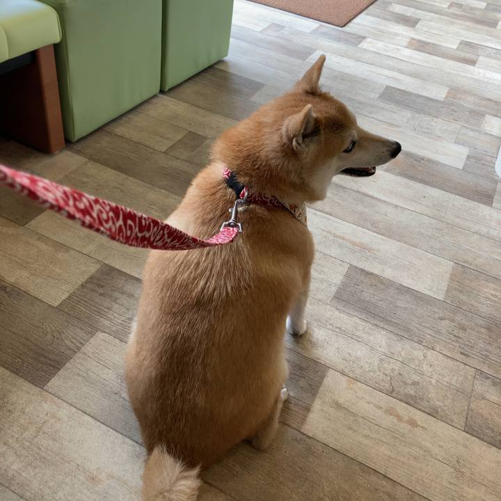 33a6f6e4 93b6 4ff2 b270 a7a9627f3e33 1639362095267