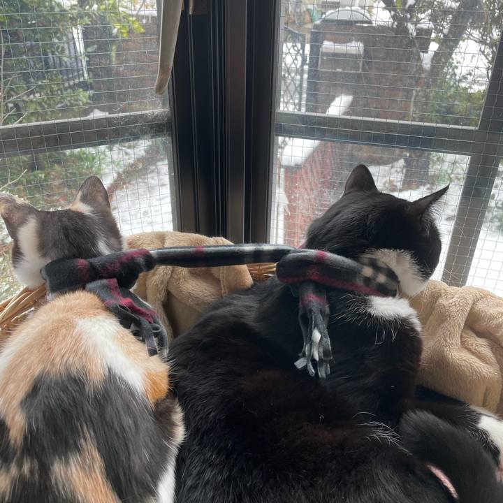 33a6fc99 9078 4b9c 8fee e8f01da718ef 1707270372445