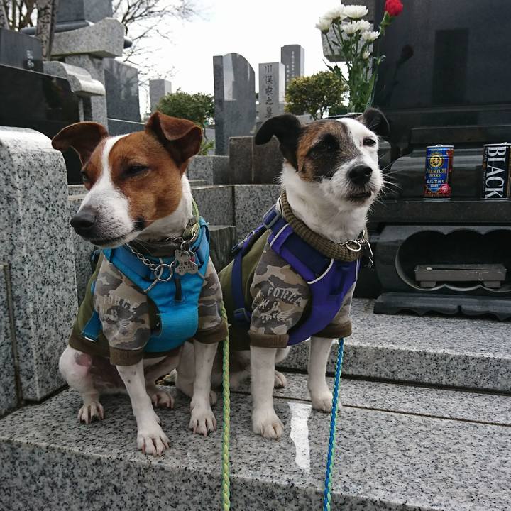 33a70446 7801 470f a6df 7bc2b38f64f7 1616217355155