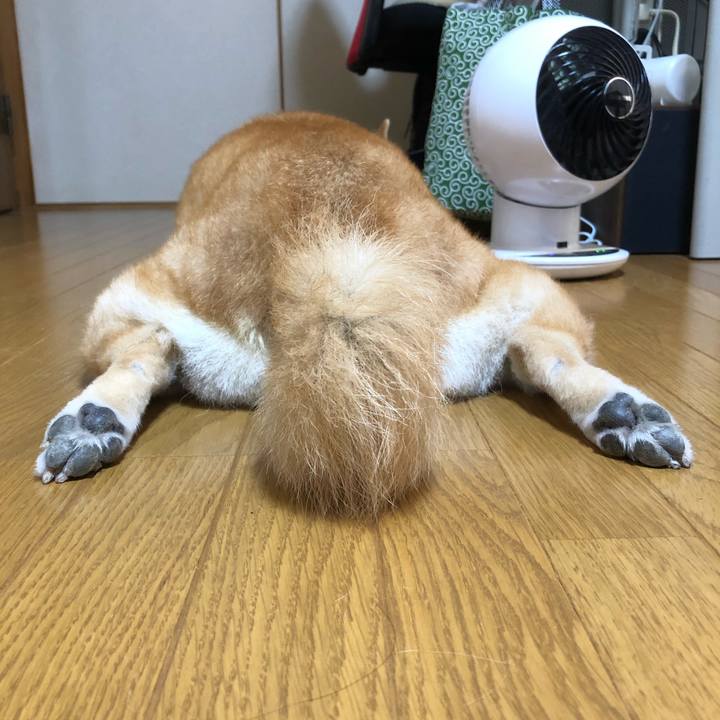 33a71d20 cf60 4680 99f3 13751f648cce 1599872967758