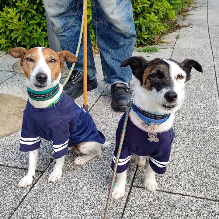 33a72956 78c4 4e0a b6ca 9172b70f596c 1717457316961