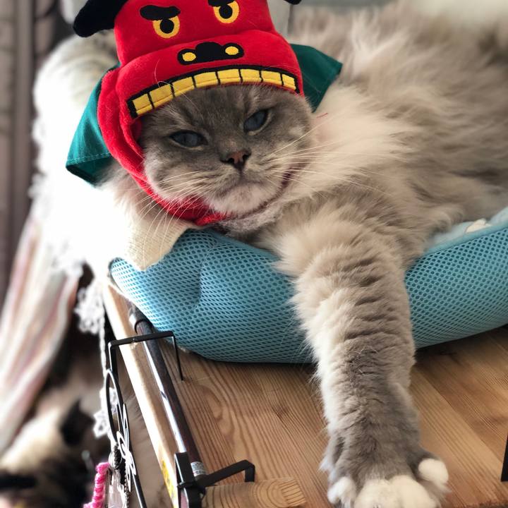 33a74e28 204e 4147 b1da e5add68feba0 1546750361794