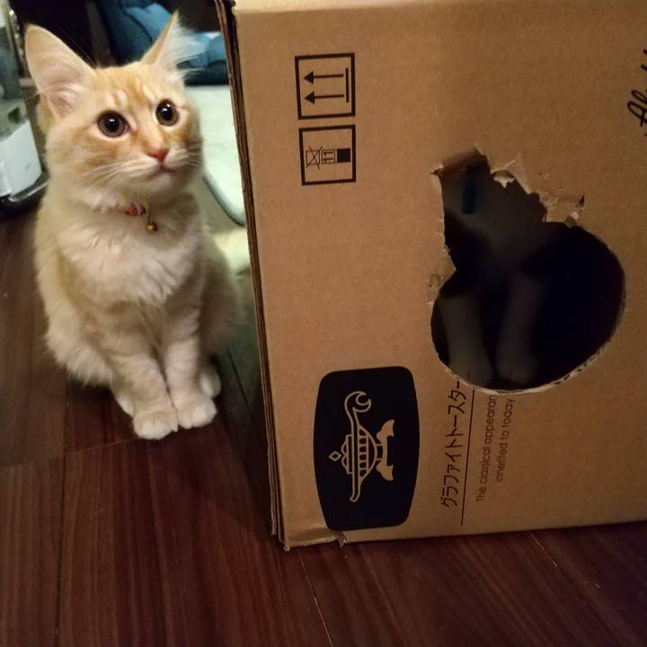 33a76441 8593 411d 8cdd 4535e17b86ea 1611611747004