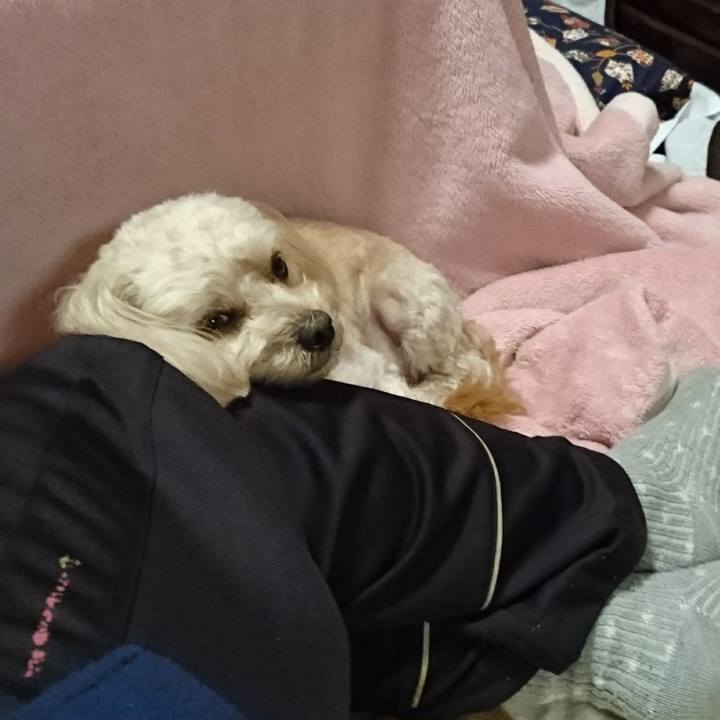 33a78d71 5867 4398 bc23 b9de1ddd8b76 1513349999372