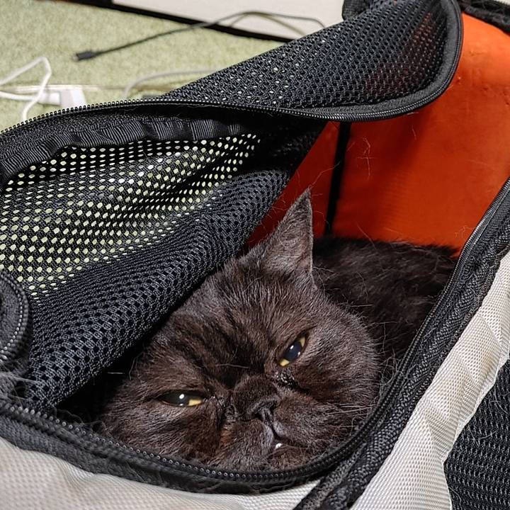 33a7d7d6 e1a6 4a43 a9e3 517d1ba10111 1677071579429