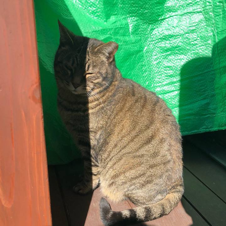 33a7fe94 0a96 4f0b a7b4 5688505cc7d3 1517975480878