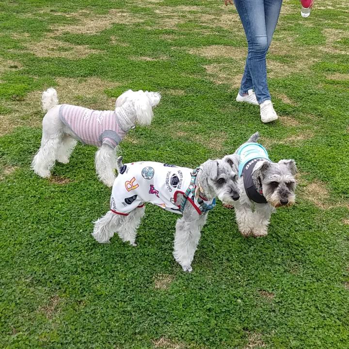 33a82687 a616 4f16 af21 3bd98d2dee7f 1556677845654