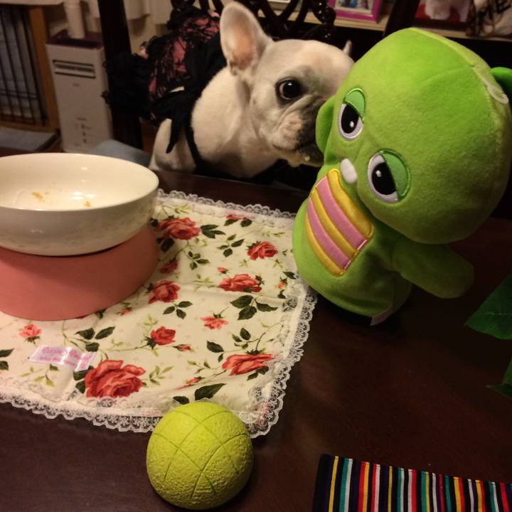 33a86b80 3241 4b2a 95f9 e6172486d09a 1511260140114