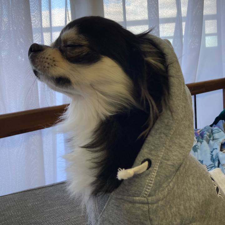 33a86bb3 be8e 4c14 b33b 912ff4a86f15 1641112687288