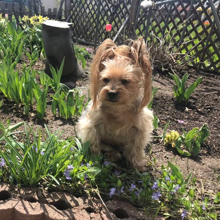 33a895d4 d5a0 4354 8c40 98887de5fc4a 1557443534665