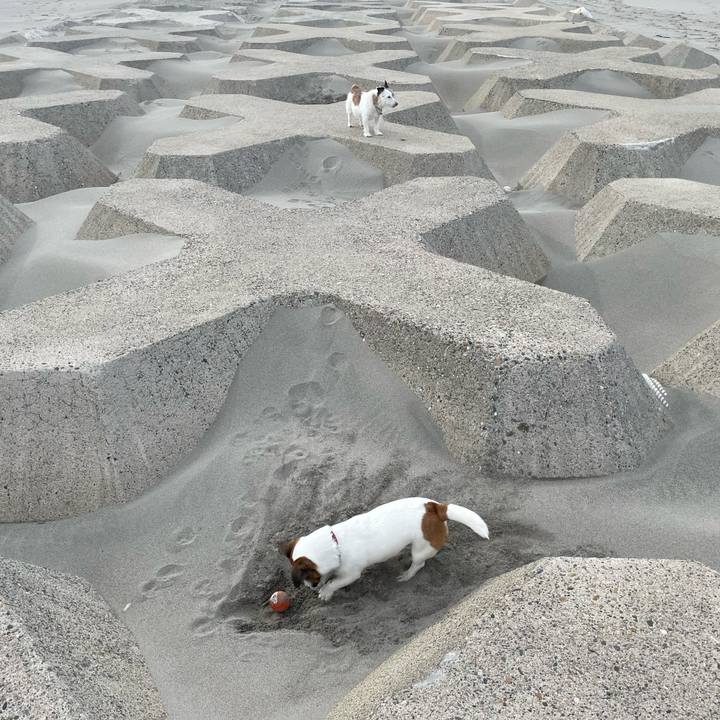 33a89727 35b7 44cd 8057 c9d594c1862e 1746748080621