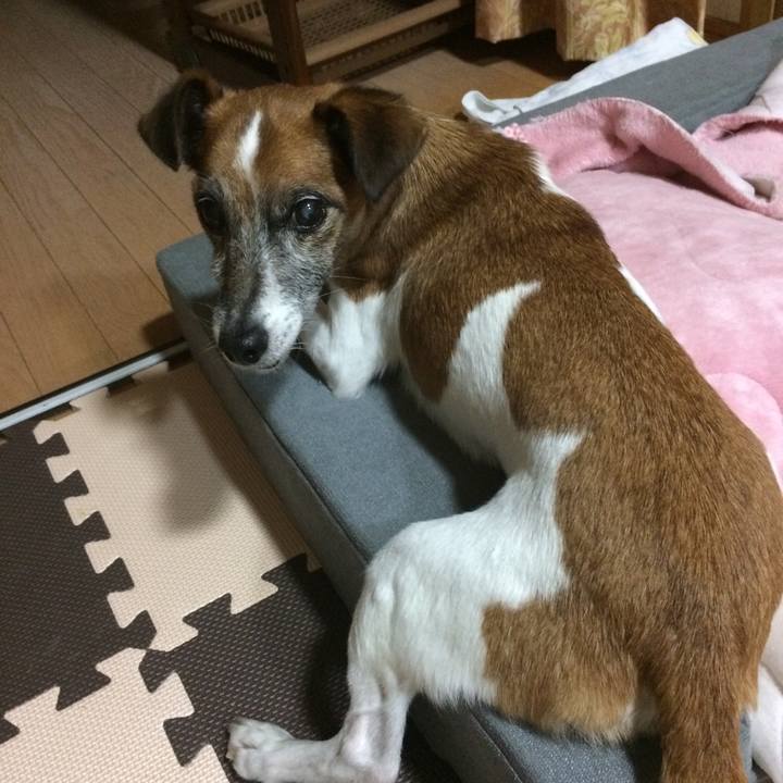 33a8bc57 6c7c 4307 bf64 d6c91843e705 1509276718797