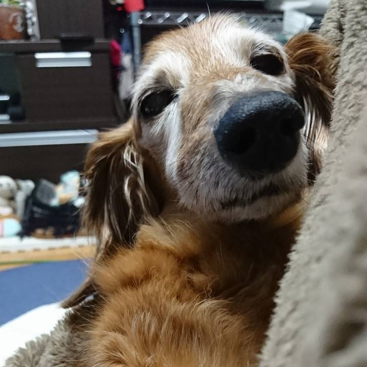 33a8bff7 0a88 4249 af2a 86fe991bce95 1519489812757