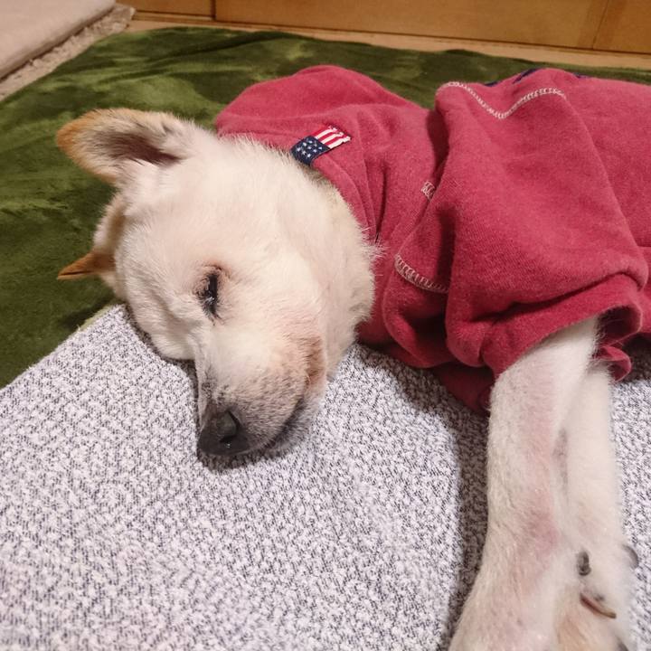 33a8d2a9 804d 40b9 86aa b08d922c3b46 1539955446146