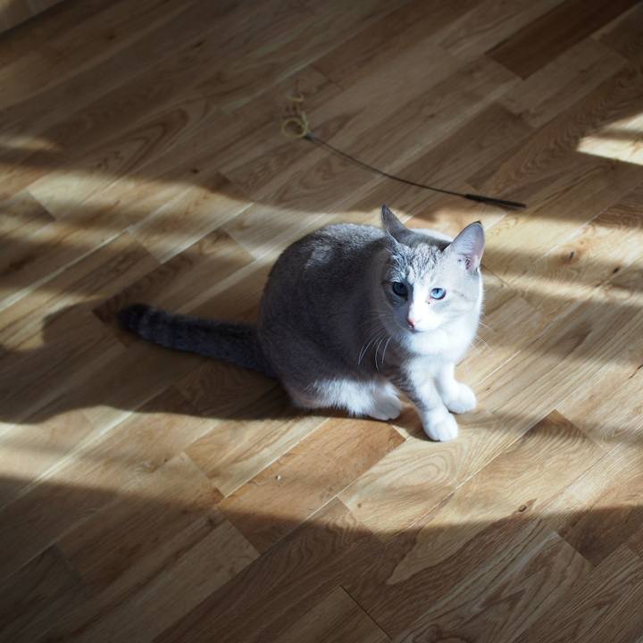 33a92095 959b 48e3 a784 876b99293840 1543379492373