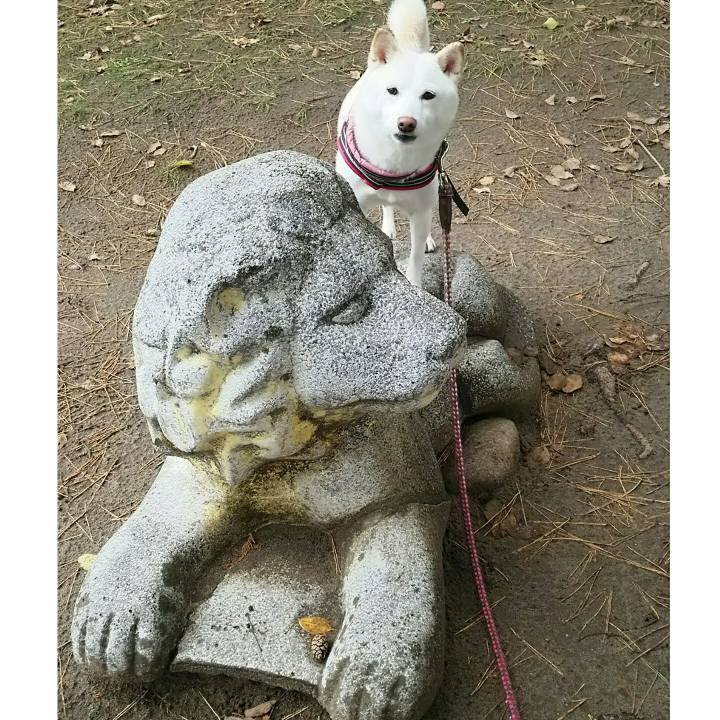 33a9670e 179a 4142 aaea 8bcf661fcb2a 1543890255977