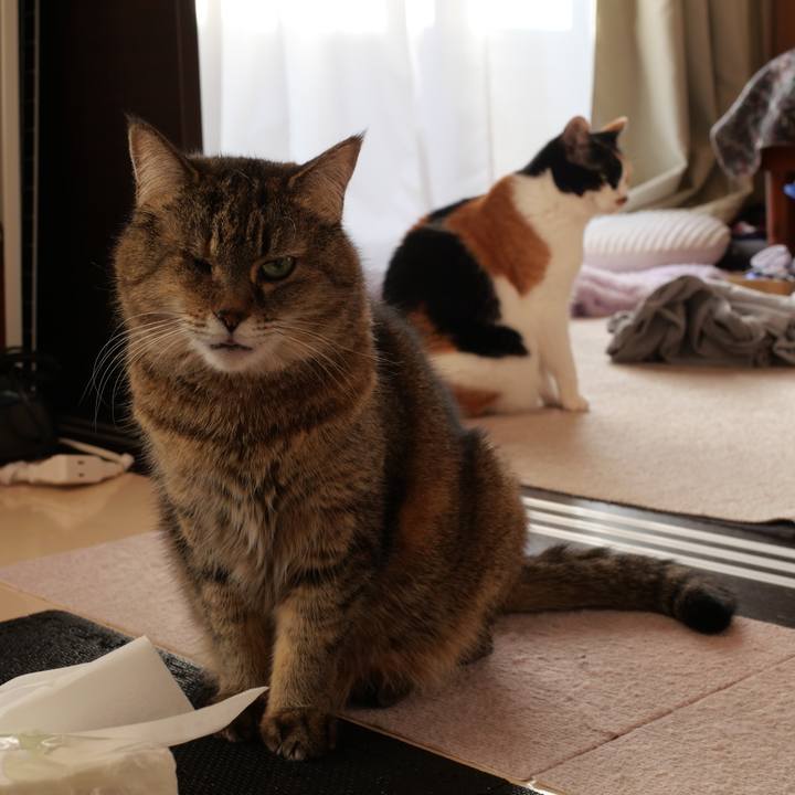 33a97508 fc3d 4484 b995 3b4b81966d8c 1739786637987