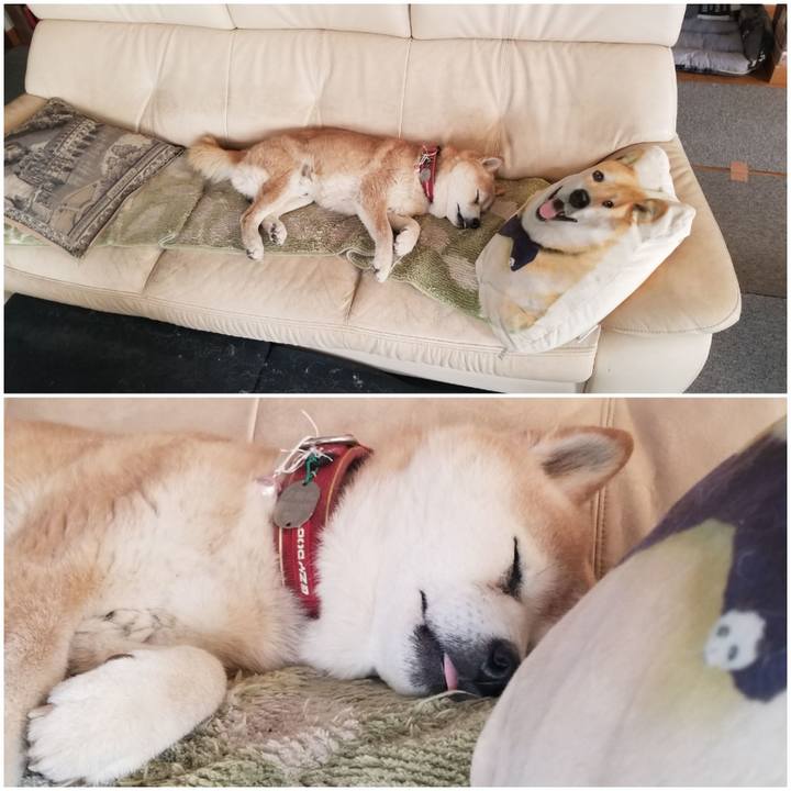 33a98ba5 77d1 45ca a396 2637c5dbc10d 1772929507153