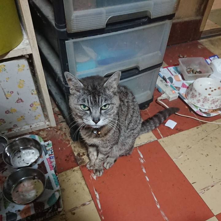 33a9b3c9 8584 432a 9343 5691856cd6b0 1592338970123