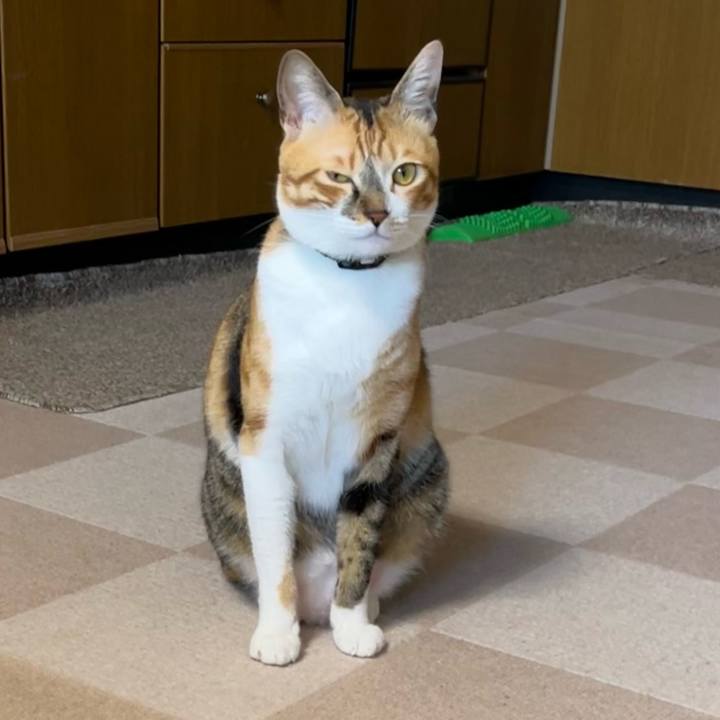 33a9c56a 8fa7 4dd3 9c01 ea9e5eca4740 1692450224970